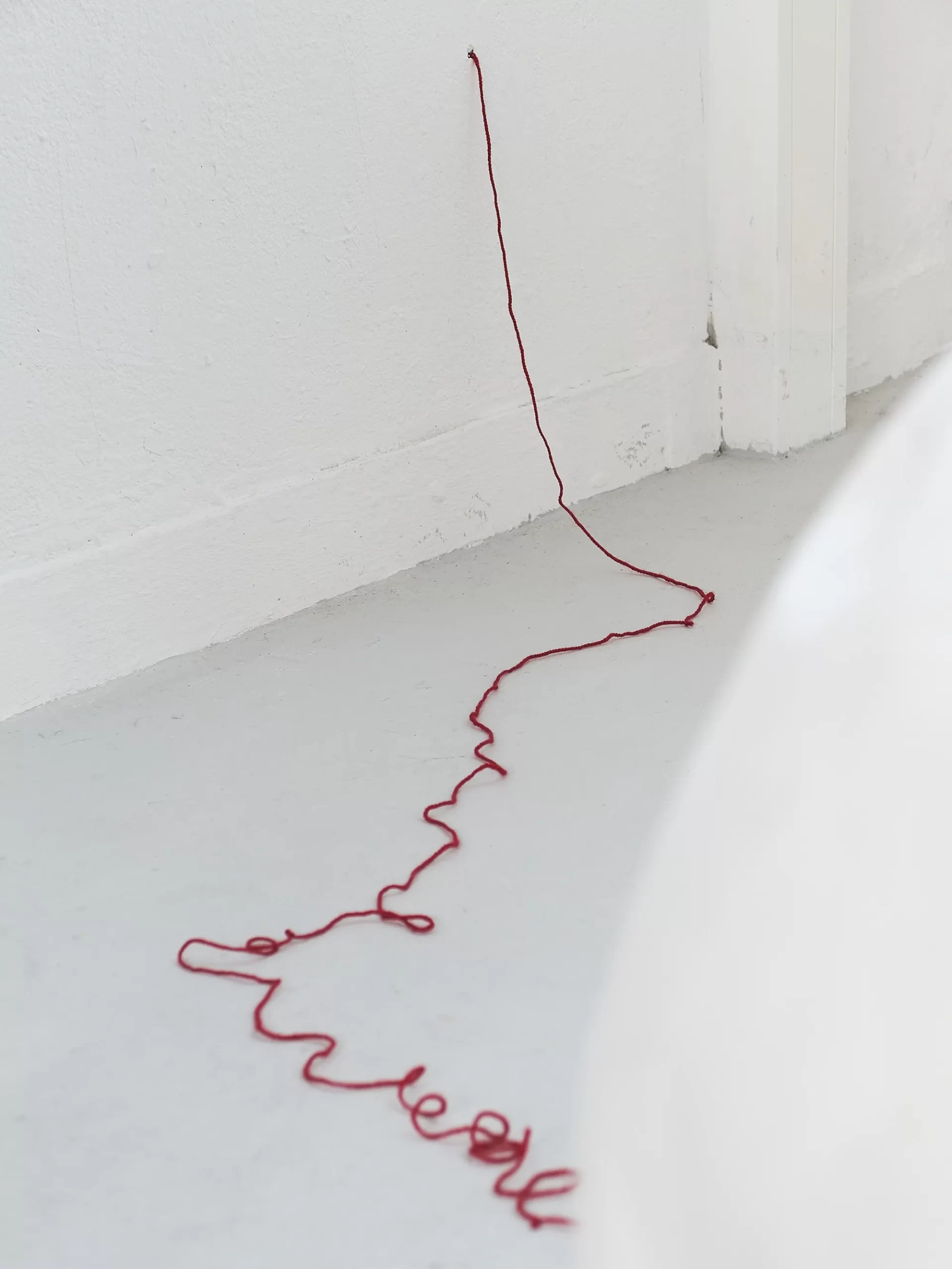 Photo: Adam Dreessen
